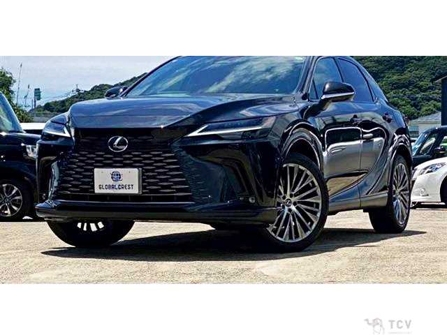 2024 Lexus RX
