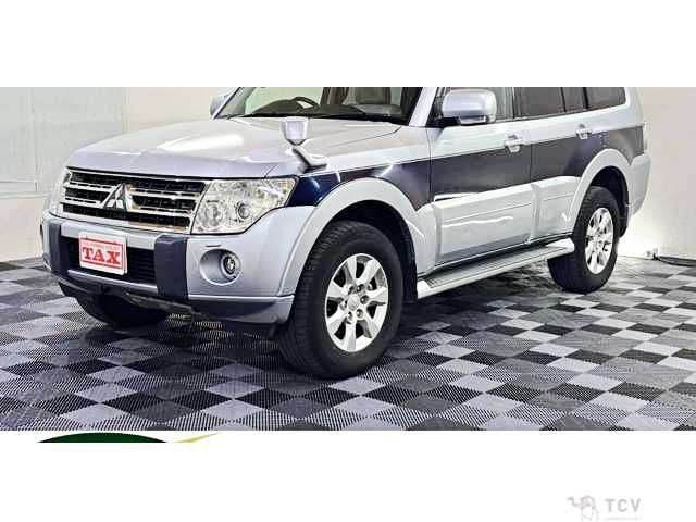 2010 Mitsubishi Pajero