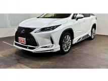 2019 Lexus RX