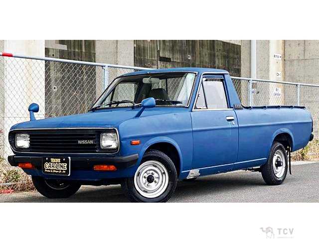 1991 Nissan Sunny Truck