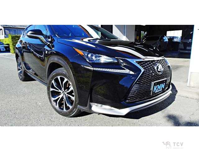 2015 Lexus NX