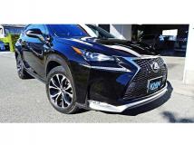 2015 Lexus NX