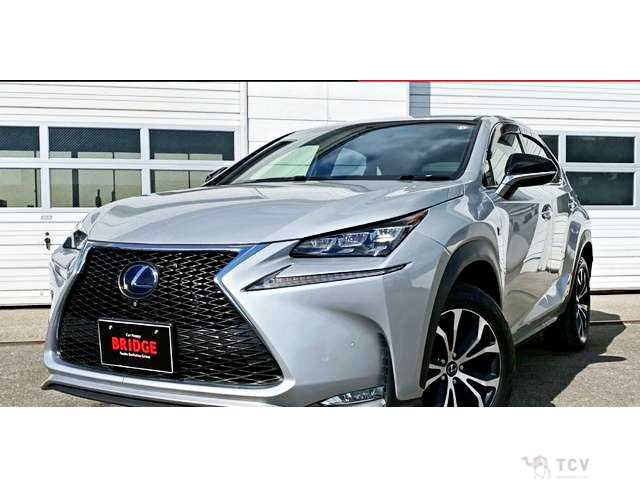 2014 Lexus NX