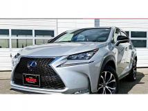 2014 Lexus NX