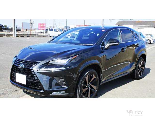 2020 Lexus NX