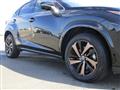 2020 Lexus NX