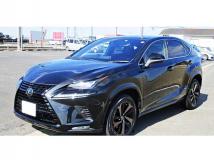 2020 Lexus NX