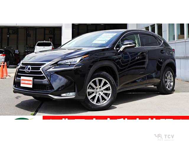 2014 Lexus NX