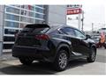 2014 Lexus NX