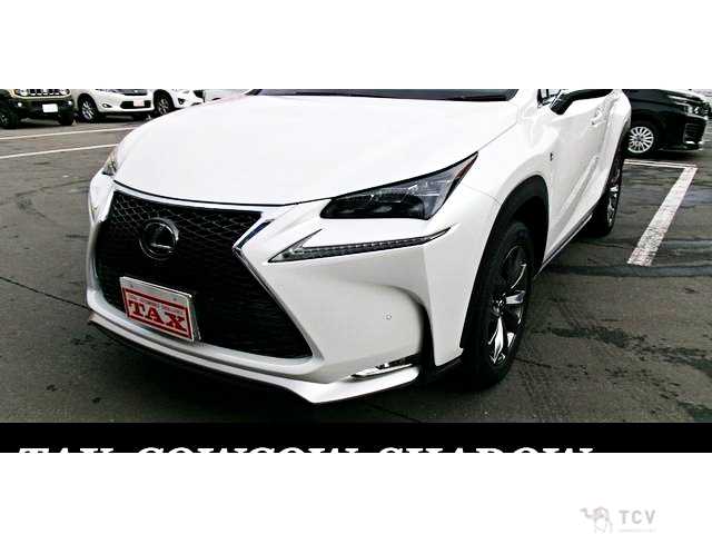 2015 Lexus NX