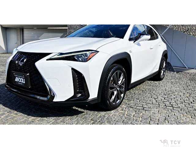 2020 Lexus Other