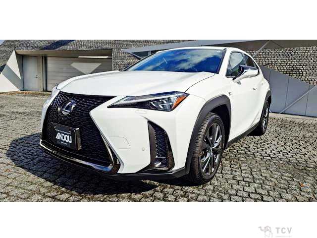 2019 Lexus Other