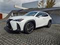 2019 Lexus Other