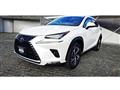 2020 Lexus NX