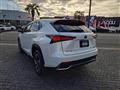2020 Lexus NX