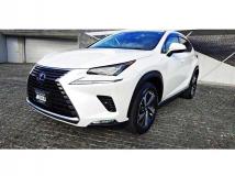 2020 Lexus NX