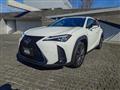 2023 Lexus Other