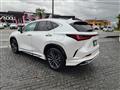 2023 Lexus NX