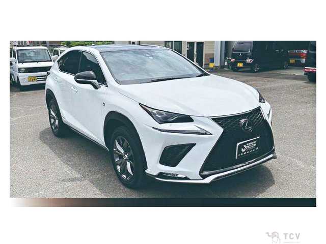 2019 Lexus NX