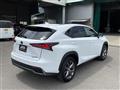 2019 Lexus NX
