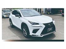 2019 Lexus NX