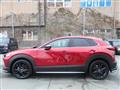 2023 Mazda CX-3