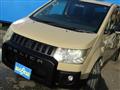 2009 Mitsubishi Delica D5