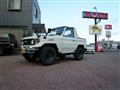 1996 Toyota Land Cruiser