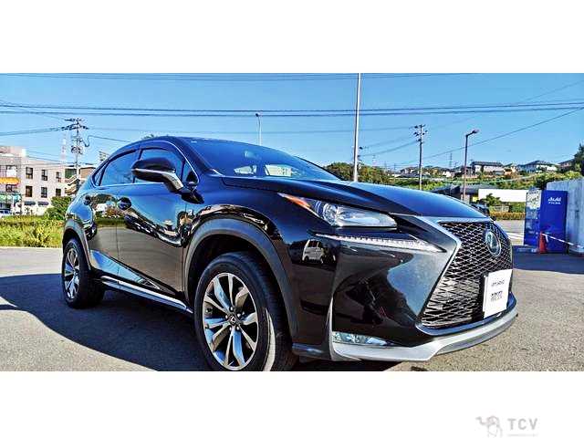 2015 Lexus NX