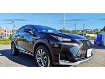 2015 Lexus NX