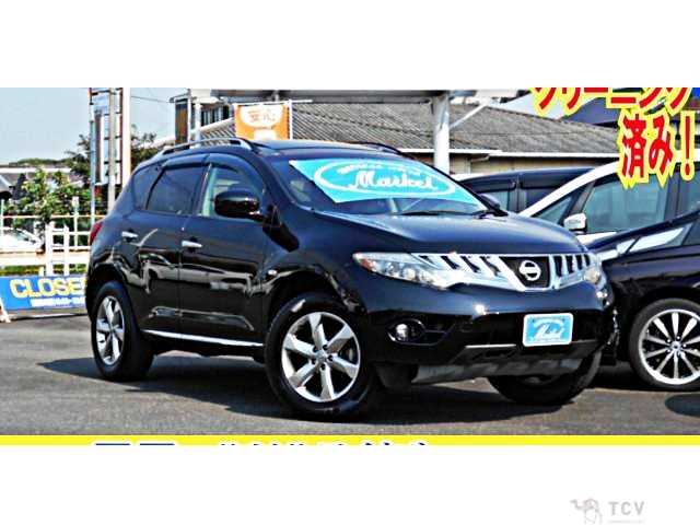 2010 Nissan Murano