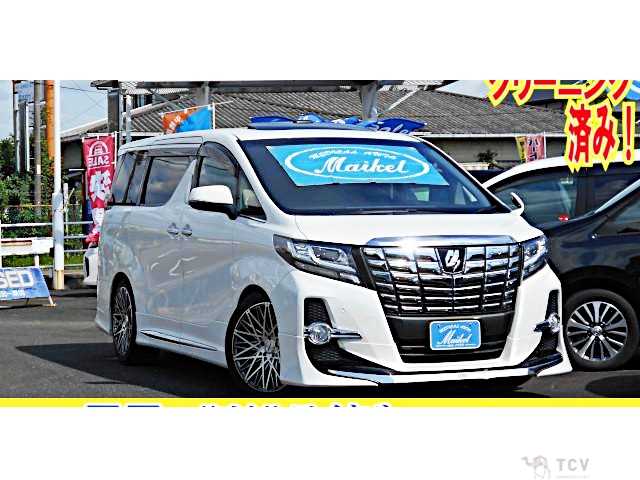 2016 Toyota Alphard