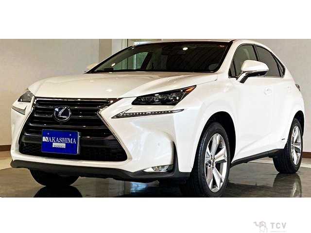 2014 Lexus NX