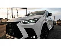 2023 Lexus NX