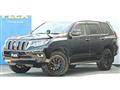 2019 Toyota Land Cruiser Prado