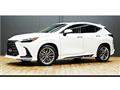 2025 Lexus NX