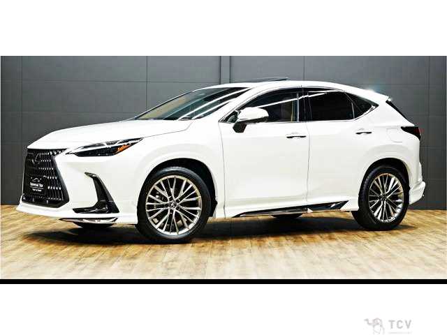 2025 Lexus NX