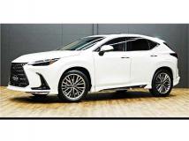 2025 Lexus NX