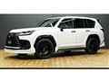 2023 Lexus LX