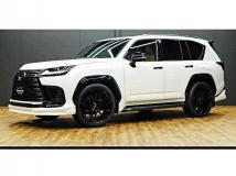 2023 Lexus LX