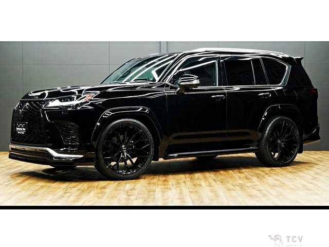 2024 Lexus LX
