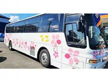 2004 Mitsubishi Fuso Aero Midi