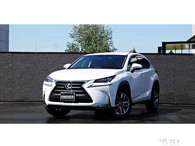 2014 Lexus NX