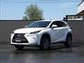 2014 Lexus NX