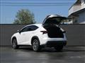 2014 Lexus NX
