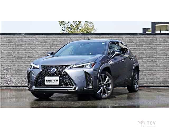 2019 Lexus Other