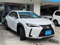 2022 Lexus Other