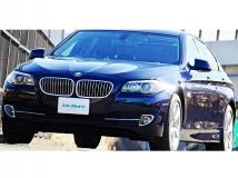 2010 BMW 5 Series