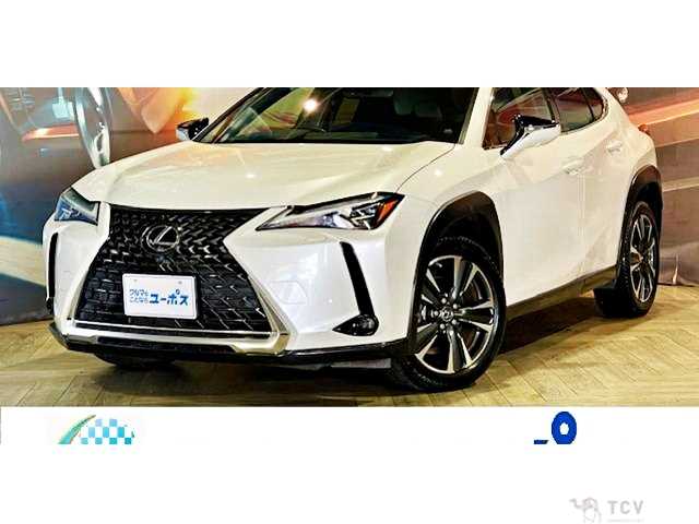 2019 Lexus Other