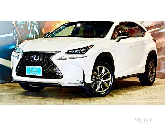 2015 Lexus NX